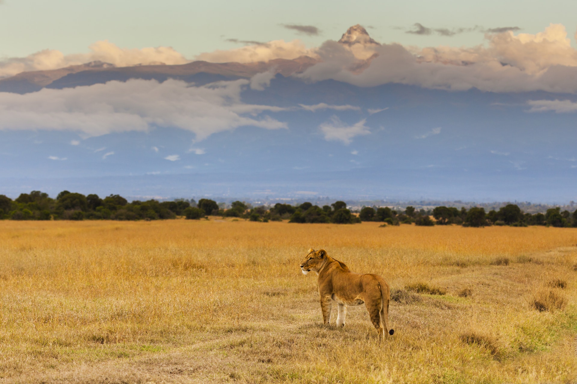  Herlig ensomhed på Mount Kenya, Afrikas anden top