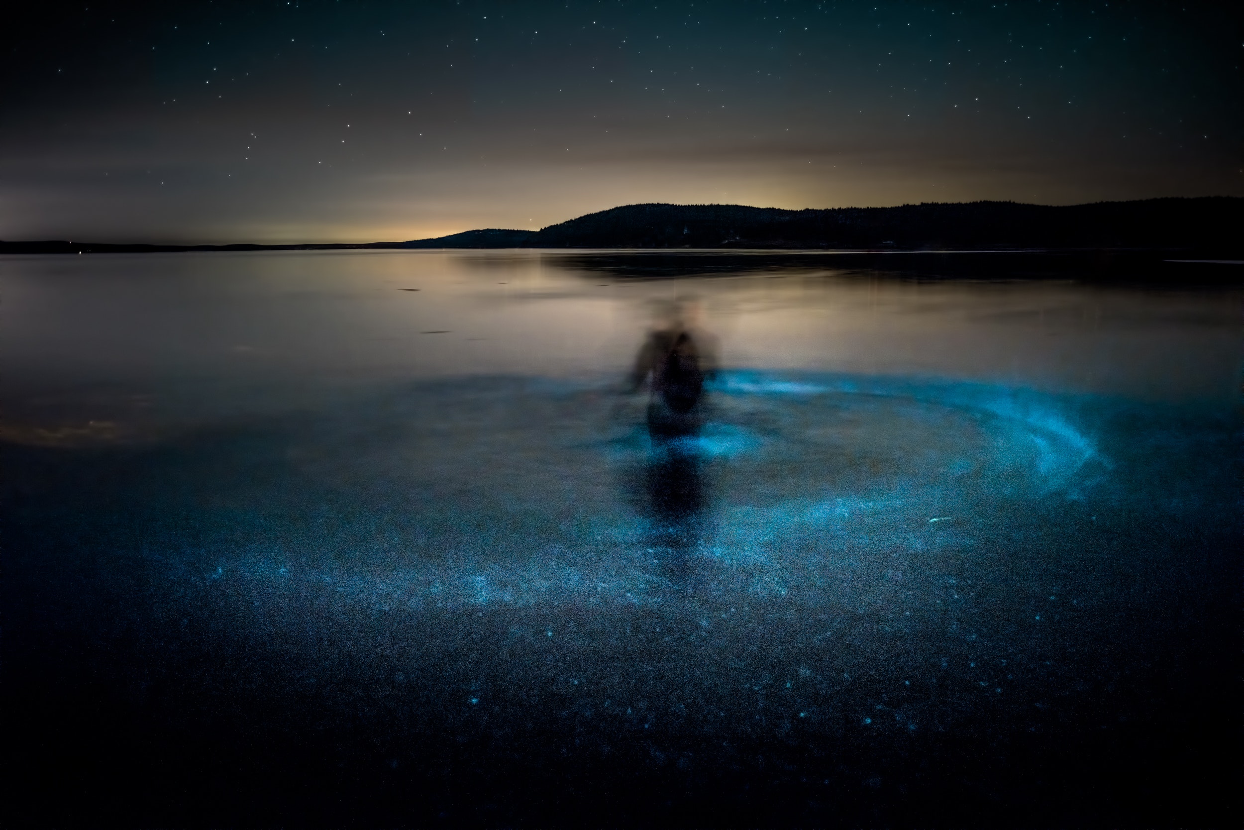  Aneu a buscar la resplendor: els millors llocs per veure bioluminescència el 2022