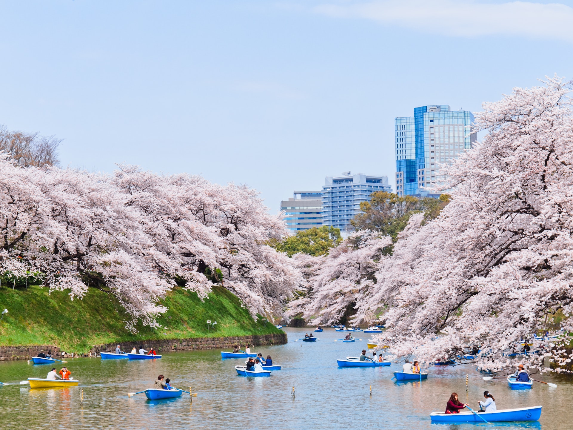  Els millors moments per visitar Tòquio: des de les flors de cirerer de primavera fins a les llums d'hivern